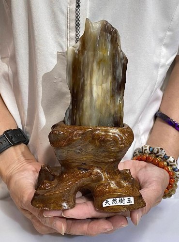 6AA級樹化玉擺件 6AA級樹化玉擺件