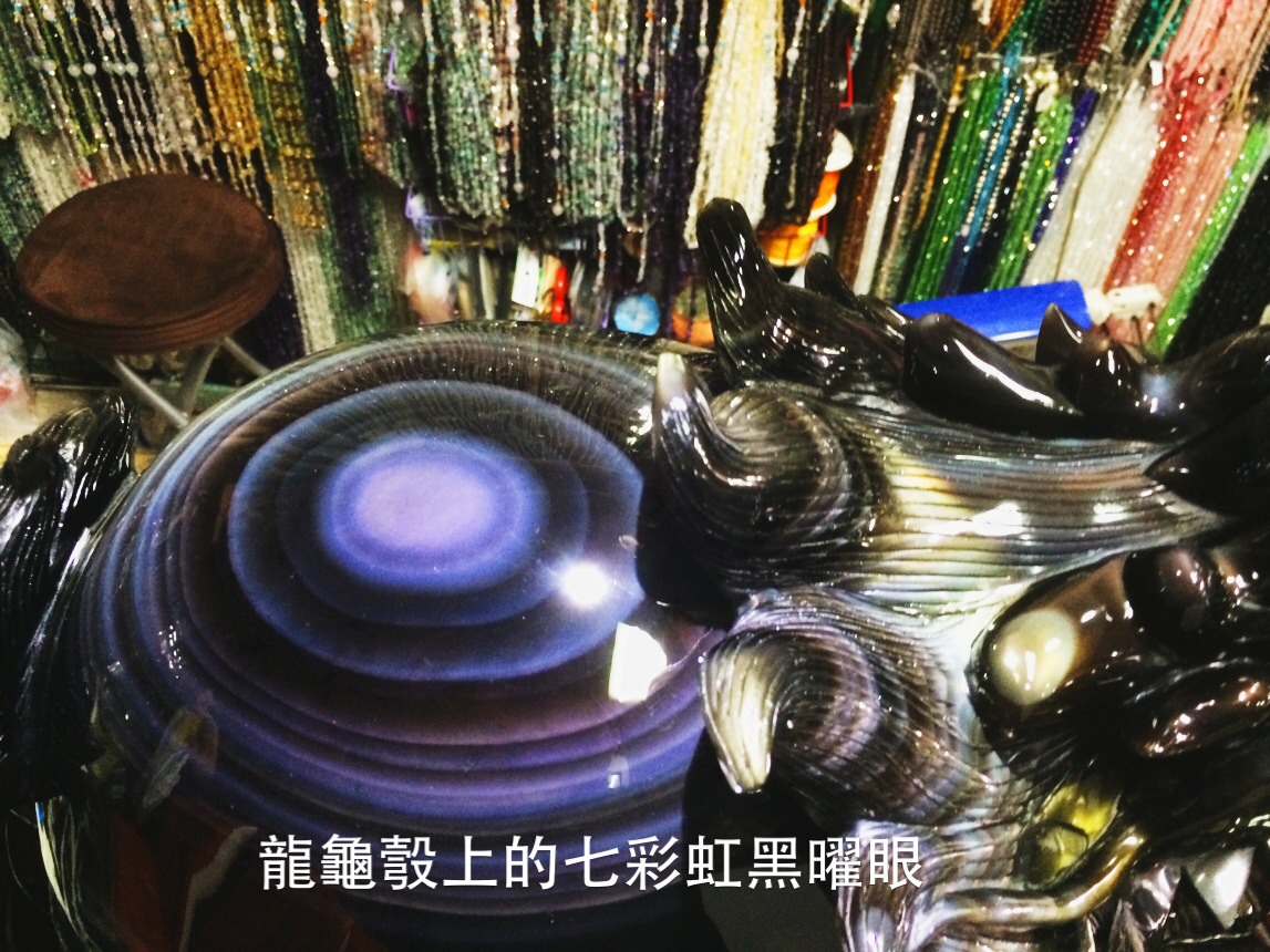 黑嚁石龍龜