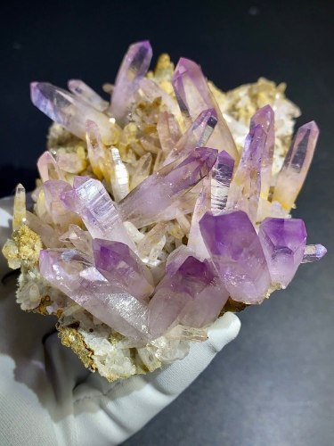 克鲁茲水晶花