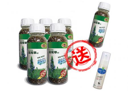 瑪雅鼠尾草籽(頂級奇亞籽)5入- 超值組