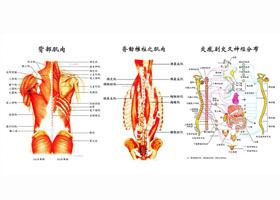 東方開運古法經脈筋膜放鬆術