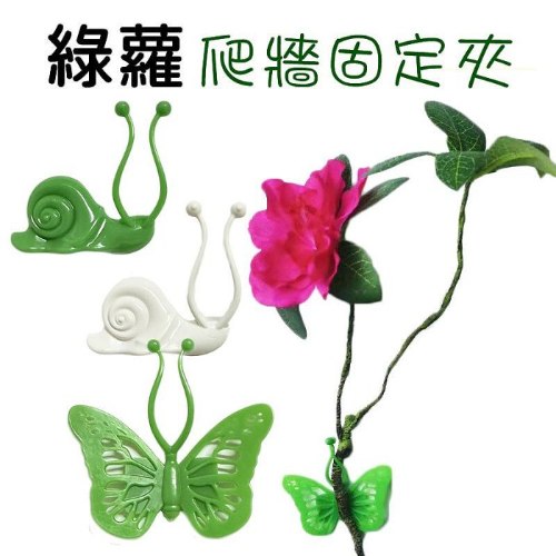 綠蘿固定器 1個