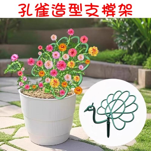 孔雀植物支撐架 1組
