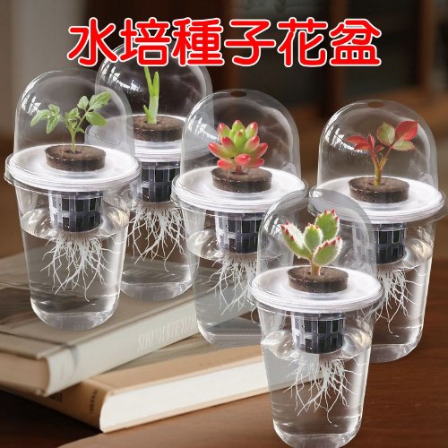 育苗杯五件套 1套