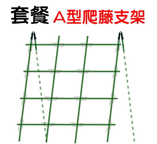 A型單面 爬藤支架 套裝 1組