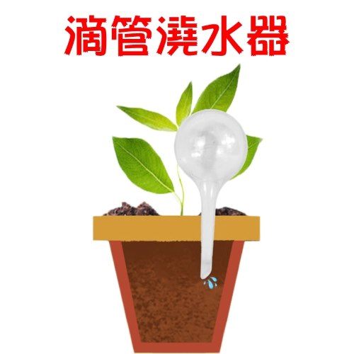 圓球滴管澆水器 1個