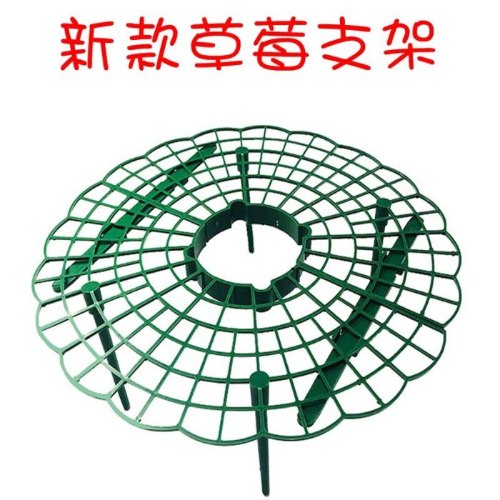 新款草莓托盤 1個