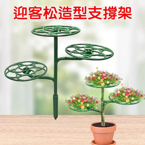 迎客松植物支撐架 1組