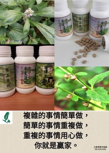 大自然草本半支蓮3合1組*270粒/罐改變細菌叢生態