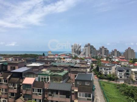 山海景緻藝術家2房