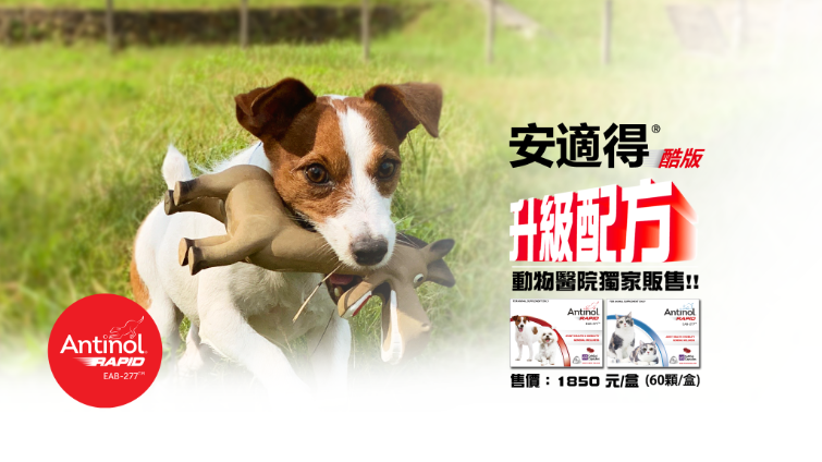 Antinol安適得-60顆* 50盒組