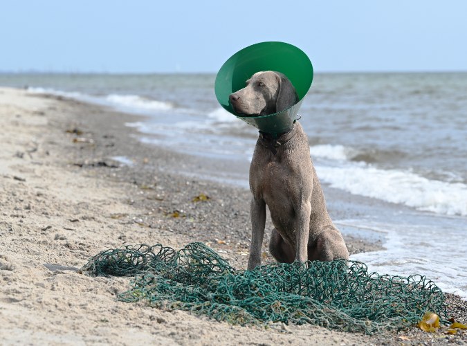 BUSTER綠色海洋頭套