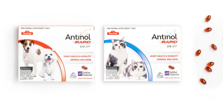 Antinol®安適得®-60顆/盒