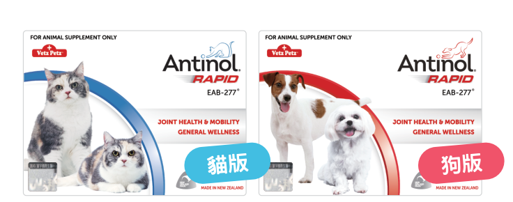 Antinol®安適得®-60顆/10盒