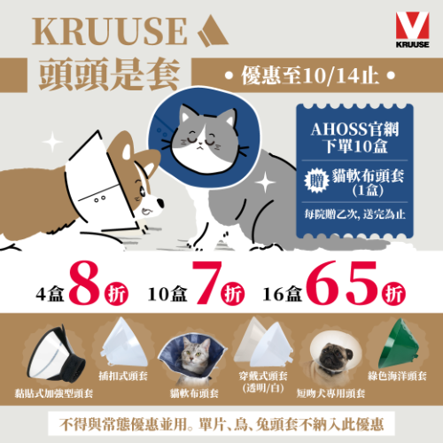 KRUUSE頭頭是套！_10/14截止