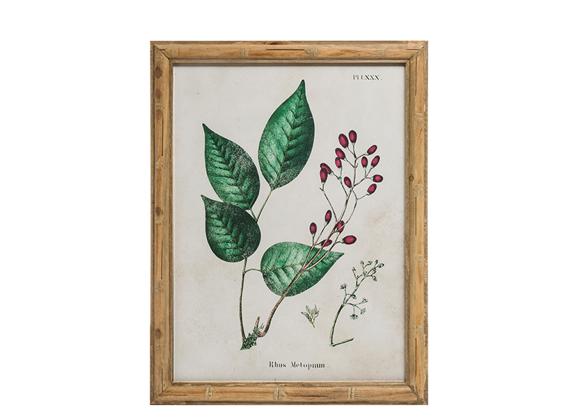 葉子圖案冷杉木框掛畫  6款