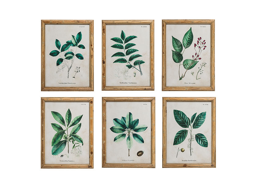 葉子圖案冷杉木框掛畫  6款