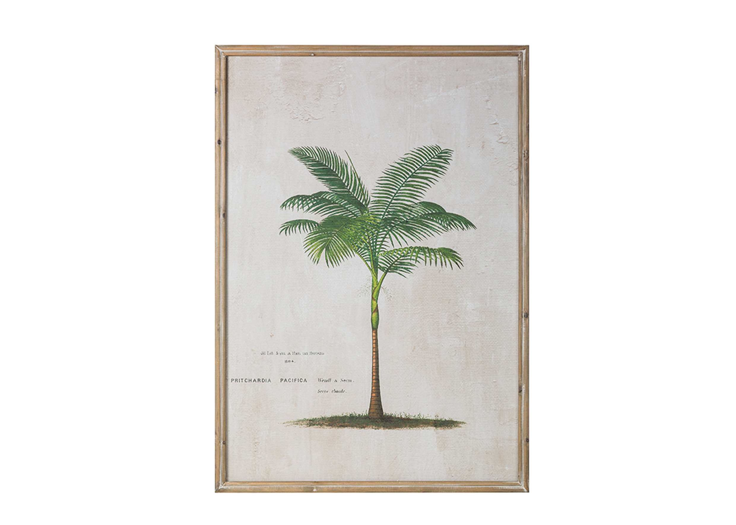 杉木邊框大樹圖案掛畫-兩款