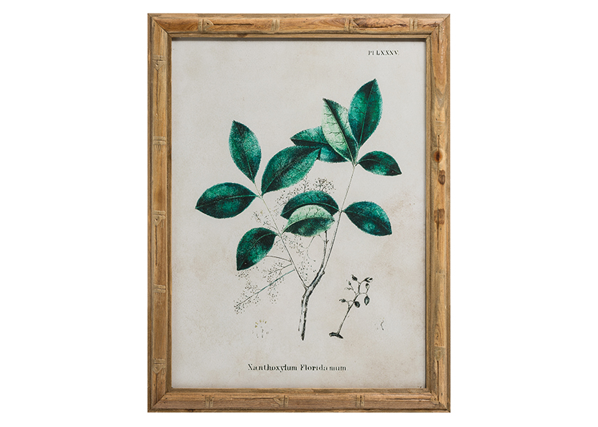 葉子圖案冷杉木框掛畫  6款