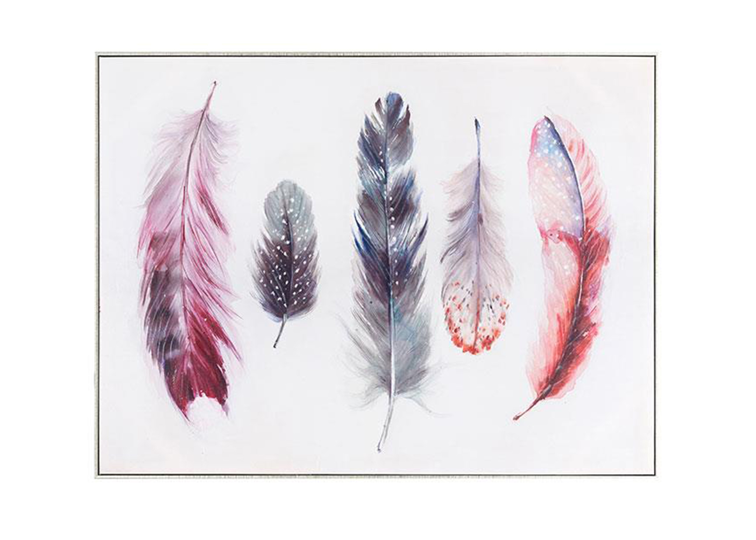 帆布手繪羽毛掛畫