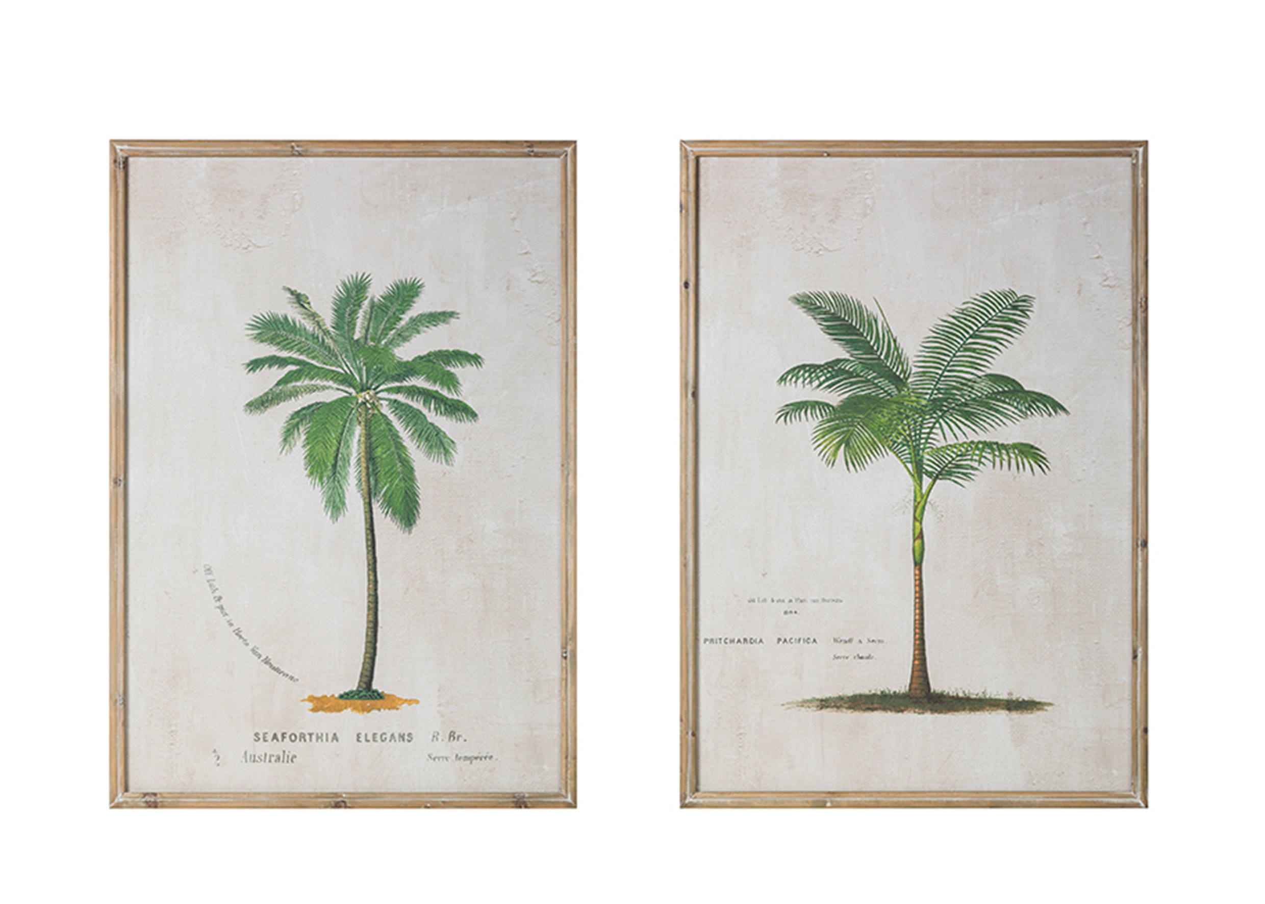 杉木邊框大樹圖案掛畫-兩款