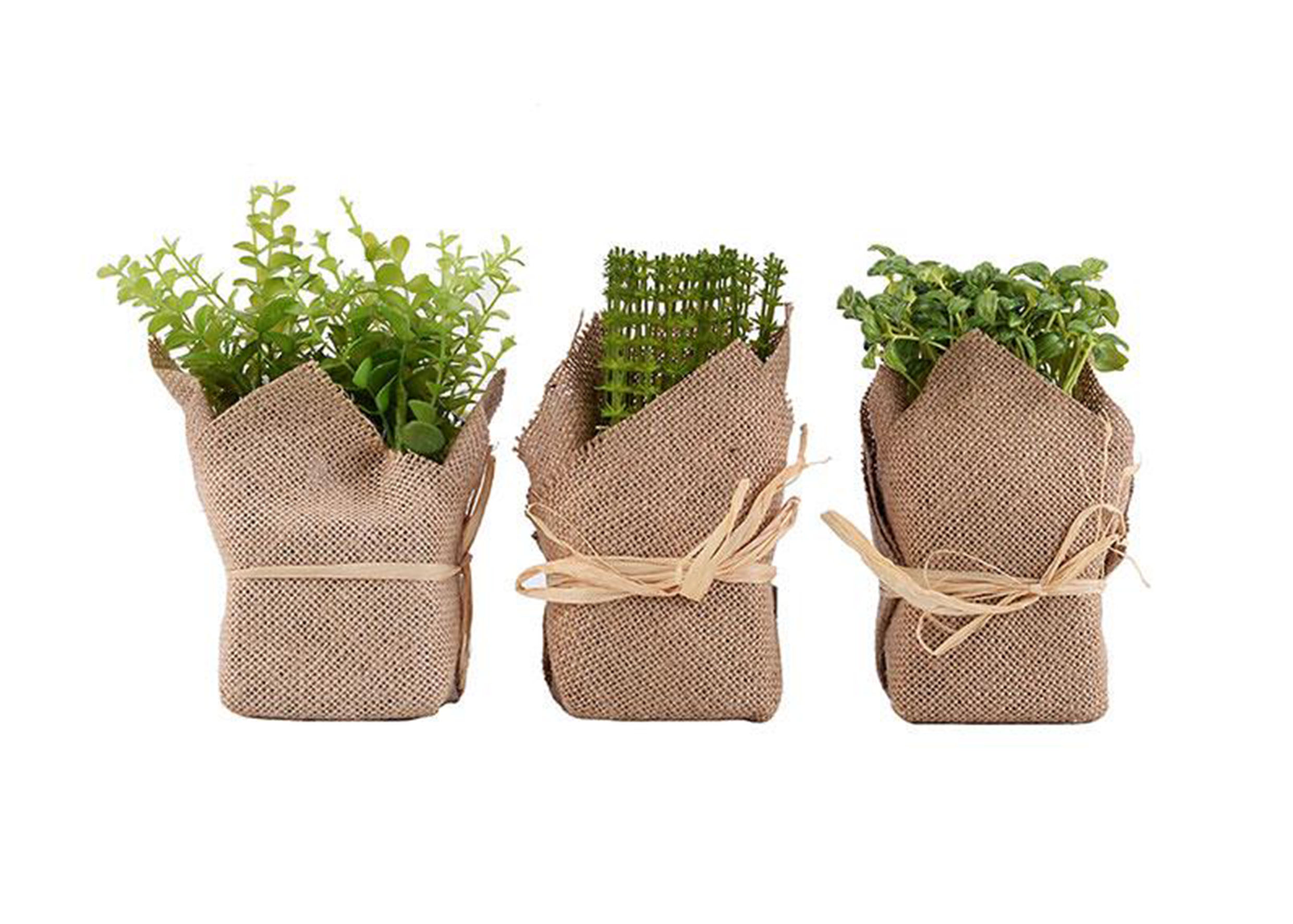 草藥類模擬綠植-三款