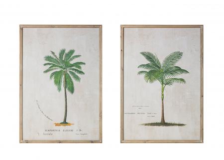 杉木邊框大樹圖案掛畫-兩款