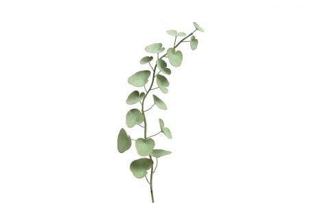 金屬樹葉裝飾壁掛(水綠色)