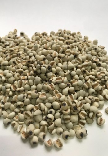 台灣大薏仁(包)